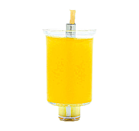 Large Pre Filled Jelled Oil Cups - Natural